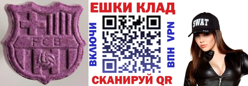 ЭКСТАЗИ 250 мг  MEGA как войти  Чаплыгин  купить  