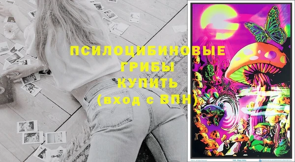 дживик Липки